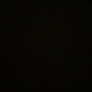 Meet your Posher, Izzy